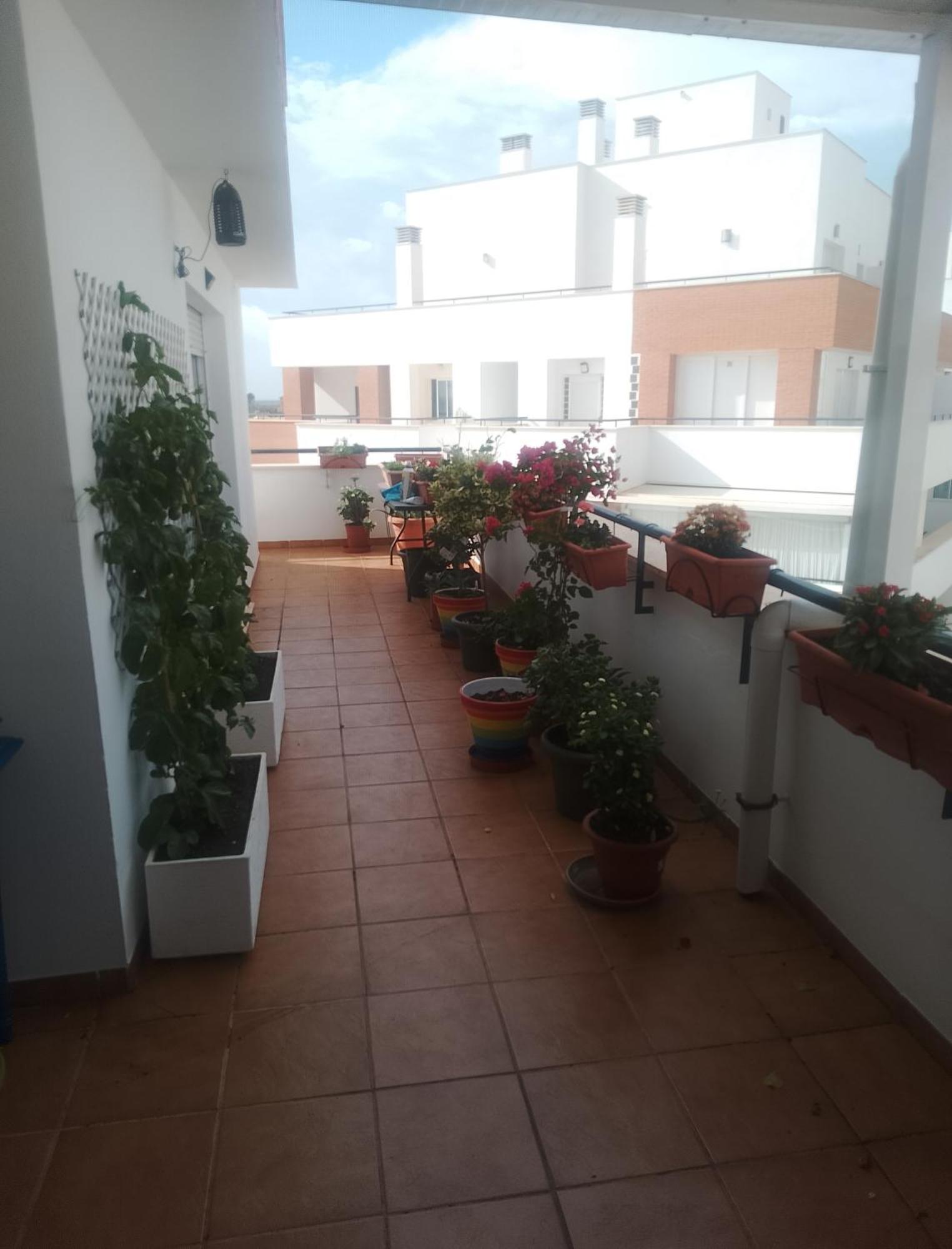 Golf, Piscina,Playa Leilighet Roquetas de Mar Eksteriør bilde
